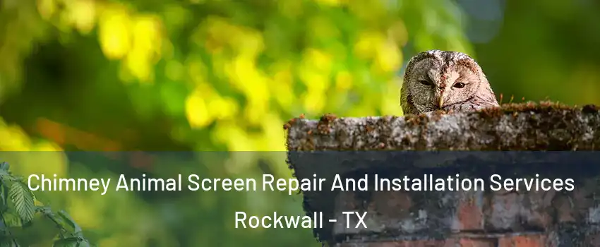  Chimney Animal Screen Repair And Installation Services Rockwall - TX