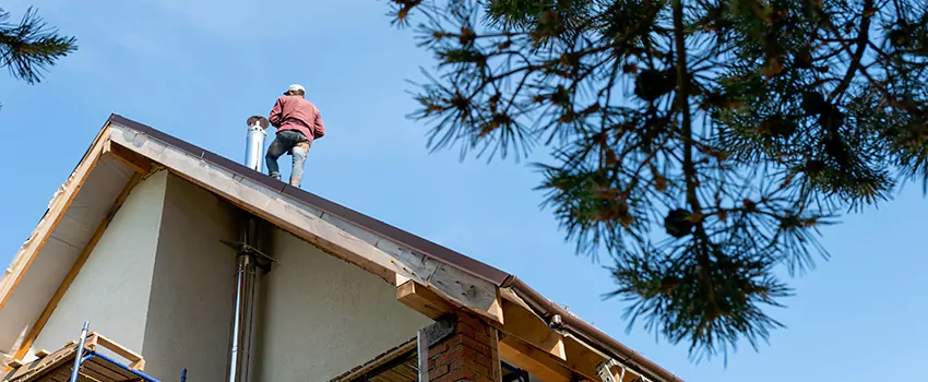 Birds Removal Contractors from Chimney in Rockwall, TX