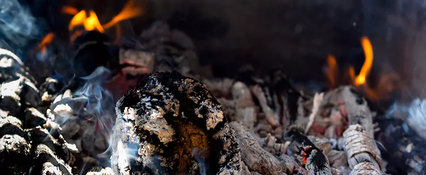 Creosote Removal Experts in Rockwall, TX