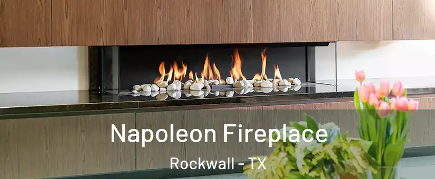  Napoleon Fireplace Rockwall - TX